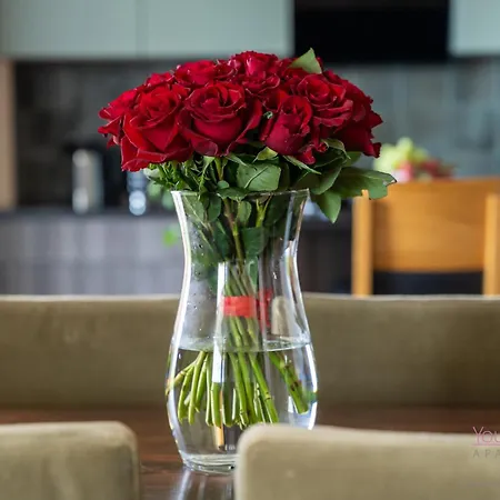 Your Holidays Aquamarina Prima 60